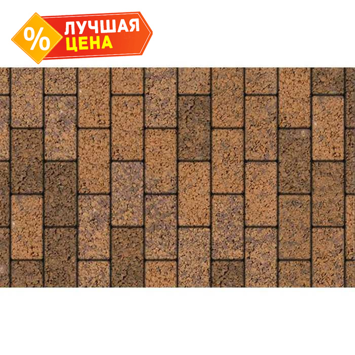 Плитка тротуарная Прямоугольник (Ла-Линия) Б.2.П.6 Листопад гладкий Арабская ночь 200х100х60 мм